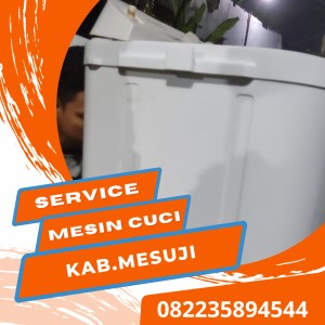 Service Mesin Cuci Panca Jaya Mesuji