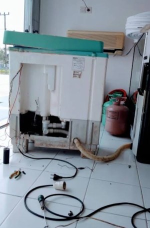 Service Mesin Cuci Kramat Tegal