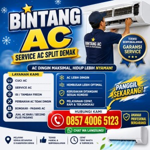 Service AC Split Demak