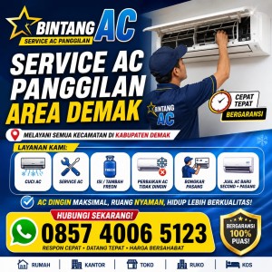 Service AC Split Demak