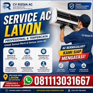 Service AC Lavon