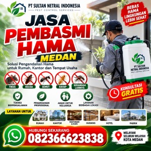 Jasa Pembasmi Hama Medan