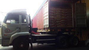 Jasa Transportasi Eksport Impor Cargo Tanjung Priok Jakarta Utara