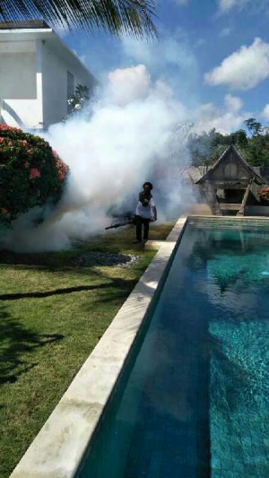 Jasa Pembasmi Hama Tanaman Bali