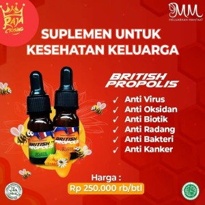 JUAL PROPOLIS CIKARANG