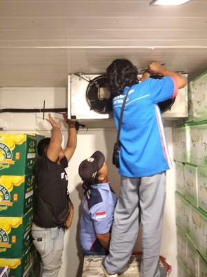 Service Cold Storage Grobogan