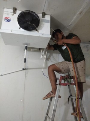 Jasa Pasang Cold Storage Grobogan