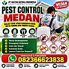 Pest Control Medan