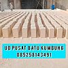 JUAL BATU KUMBUNG TUBAN 085258143491