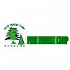 Pine Forest Camp Lembang Bandung
