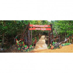Hutan Mangrove Desa Tukak, Toboali - Bangka Selatan