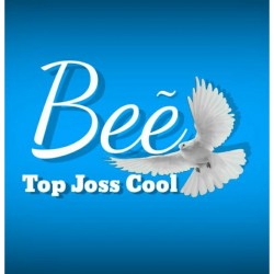 SERVICE AC PANGGILAN BADUNG | Bee Top Joss Coll